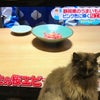 頻の画像