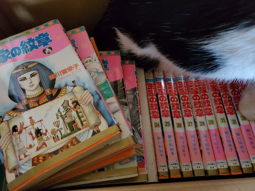 いまだから Chii はやおきねこ日記 With キム ナムギル