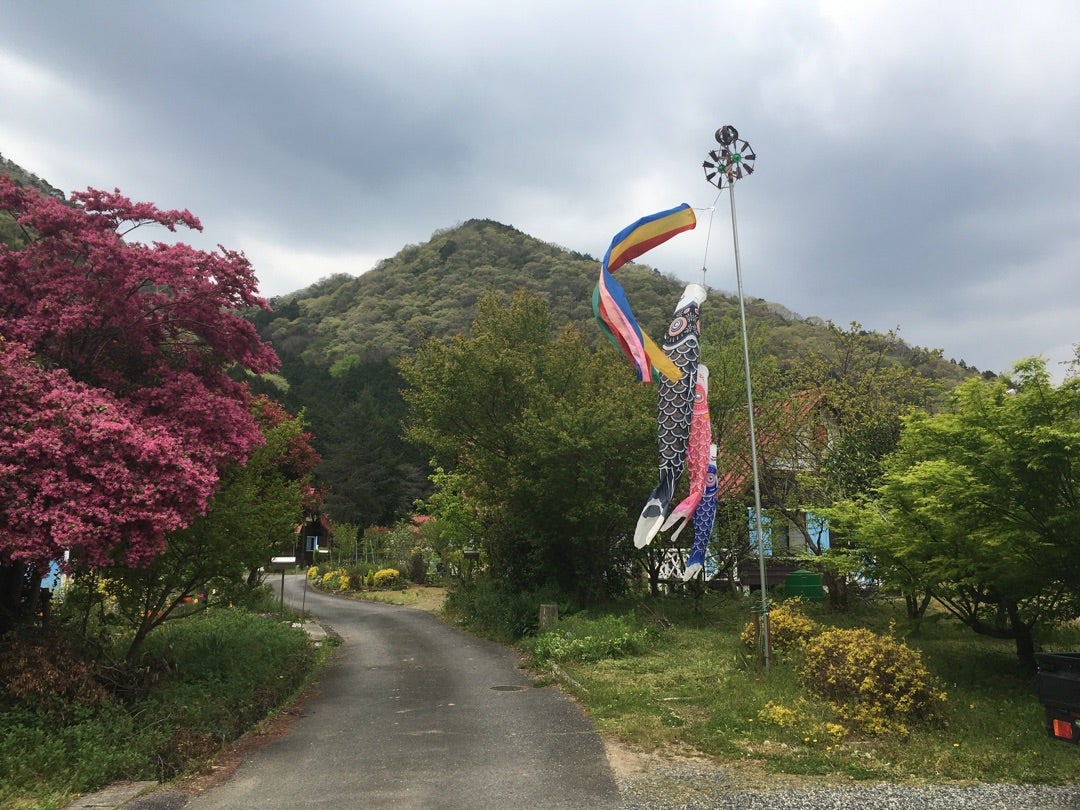 シンクロニックボディであなたの種が開花する日本でクラインガルデン暮らし　始めます