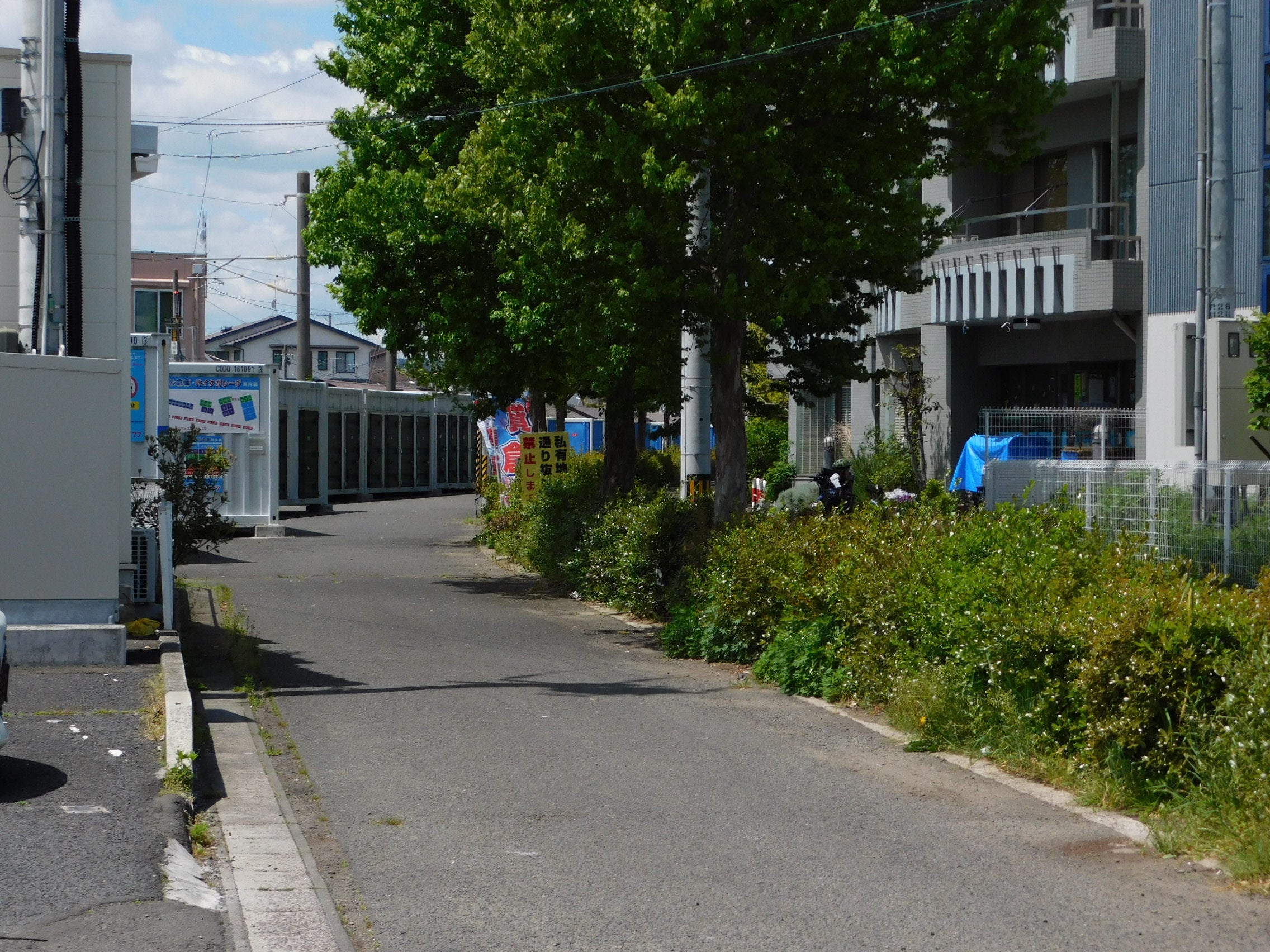 日本専売公社仙台工場専用貨物線跡を歩く | 三毛猫 なつめちゃん 日本専売公社仙台工場専用貨物線跡を歩く | 三毛猫 なつめちゃん