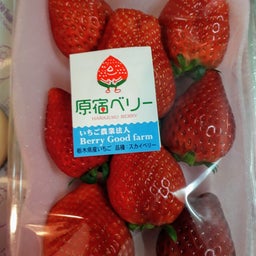 原宿ベリーのイチゴ