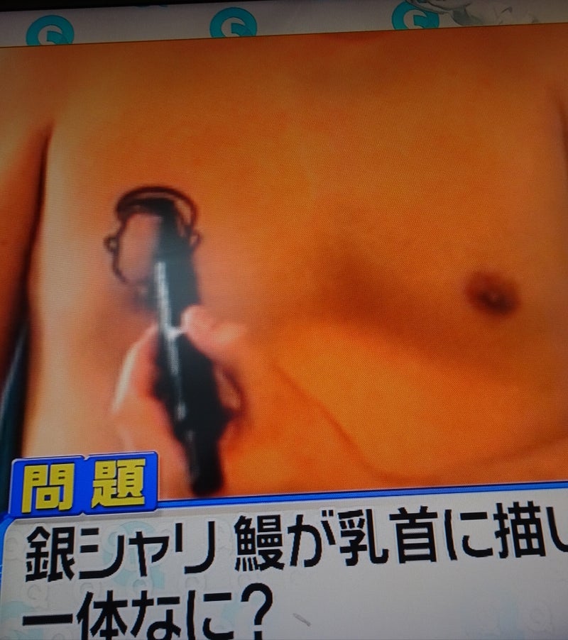 銀シャリ鰻さん乳首アートな件 Sachiyoのブログ