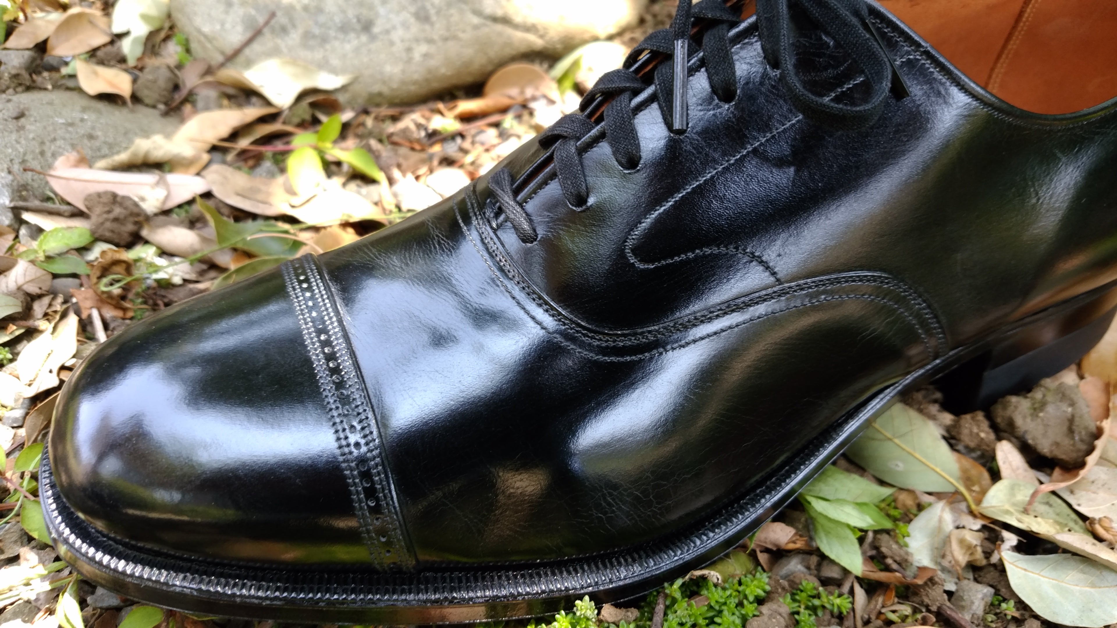 手持ち旧靴革質（ブラックカーフ） ＴＯＰ１０ | Tomojin329 Blog