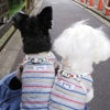 既に奇跡は起きている⁉️の画像
