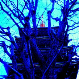 画像 Asakusa Photos ~浅草、古都の断片~ の記事より 4つ目