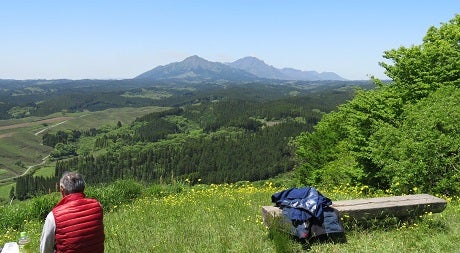 麦焼酎二階堂cmに出てくる山 ひまわりつうしん