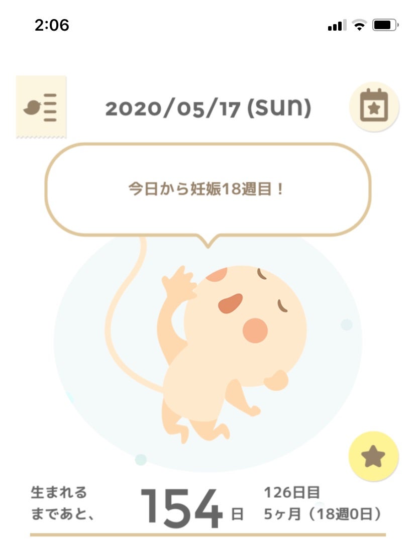 17w6d 胎動 The Sugar Cubes 17w6d 胎動 The Sugar Cubes