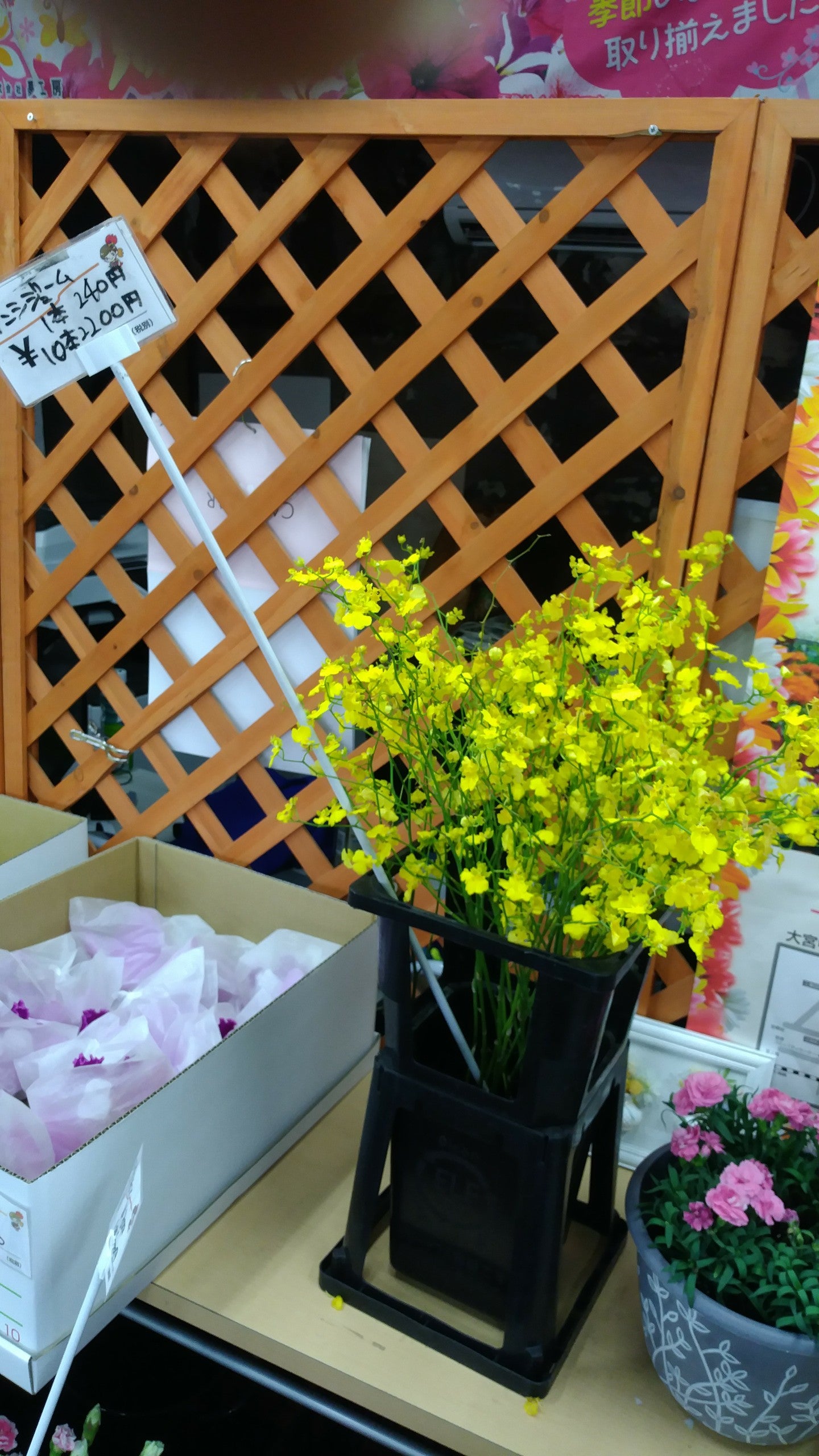 切り花（生花）の格安販売！＠大宮フラワーセンター | 大宮フラワー 