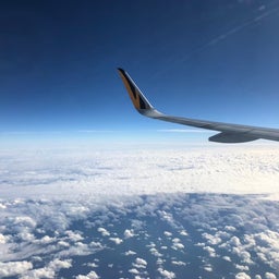 画像 【2019.1の台湾女子旅】い！ま！さ！ら！旅レポ の記事より 5つ目