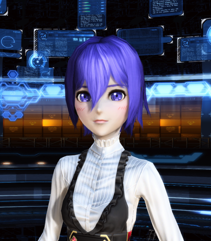 PSO2 ヘアスタイルショー Vol.2 | 今だけ( >ᴗ ロ