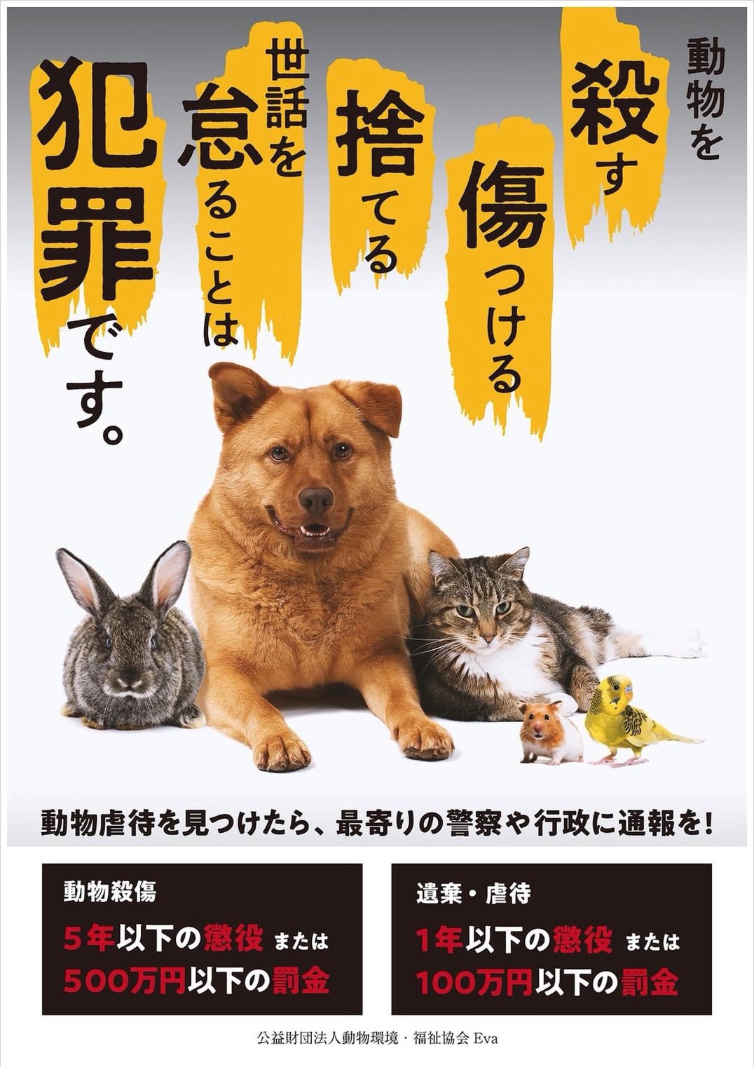動物愛護法 rintarou12001のブログ