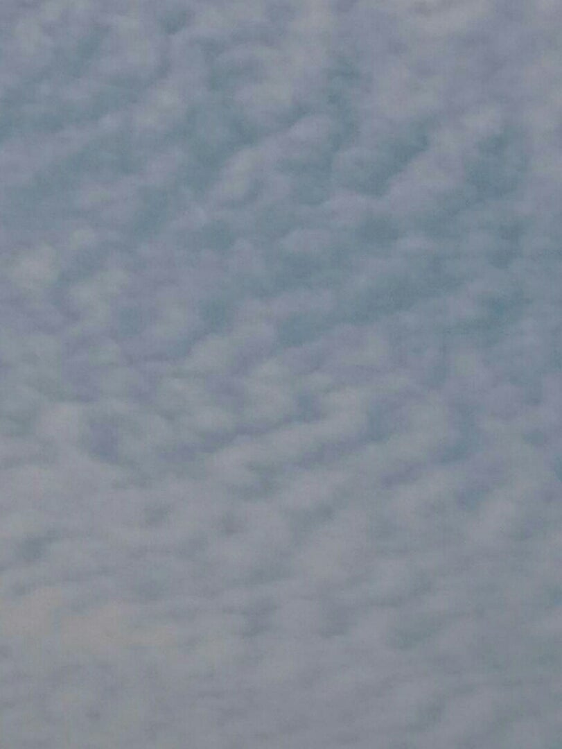 今朝の雲が☁の記事画像