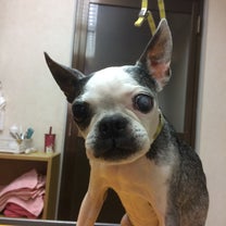ブログ投稿画像