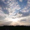 幸せが増えていく方法の画像