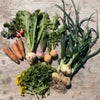 野菜ソムリエプロおすすめの体の中から綺麗になる野菜のお得情報！！の画像