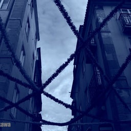 画像 Pics of Portugal ～ポルトガル、サウダーデ（郷愁）の記録～ の記事より 3つ目