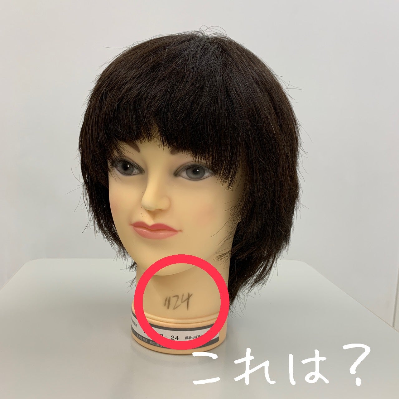 美容師国家試験 カットウィッグ-
