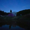 星と水中のシダレ桜の画像