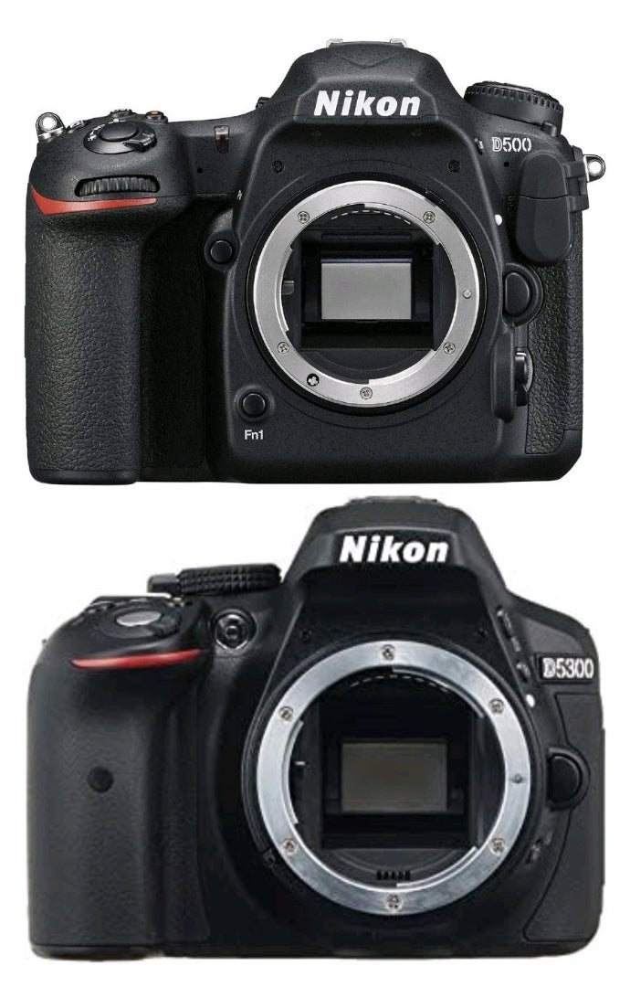 メダカ撮影用の新しいカメラ(D500) | FUJIYAMAめだかのブログ