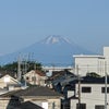 窓から見える景色。の画像