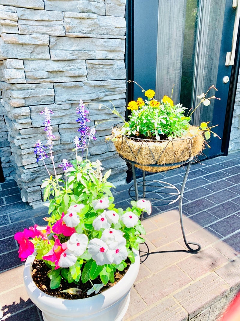 プランターを夏の花に植え替えました 群馬県太田市ロミロミセラピスト小倉絹子 ヒーリングサロンアクア