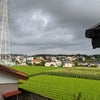 朝の風景!の画像