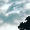 新月、大潮、部分日食の画像