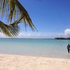 【ドミニカ共和国編】カリブの海と文化／相手を真似する話の画像