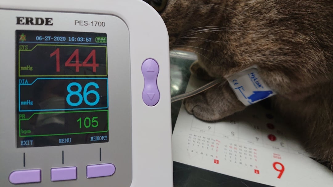 正しく測れるの？ ☆動物用血圧計☆ エルデ PES-1700 の使い心地