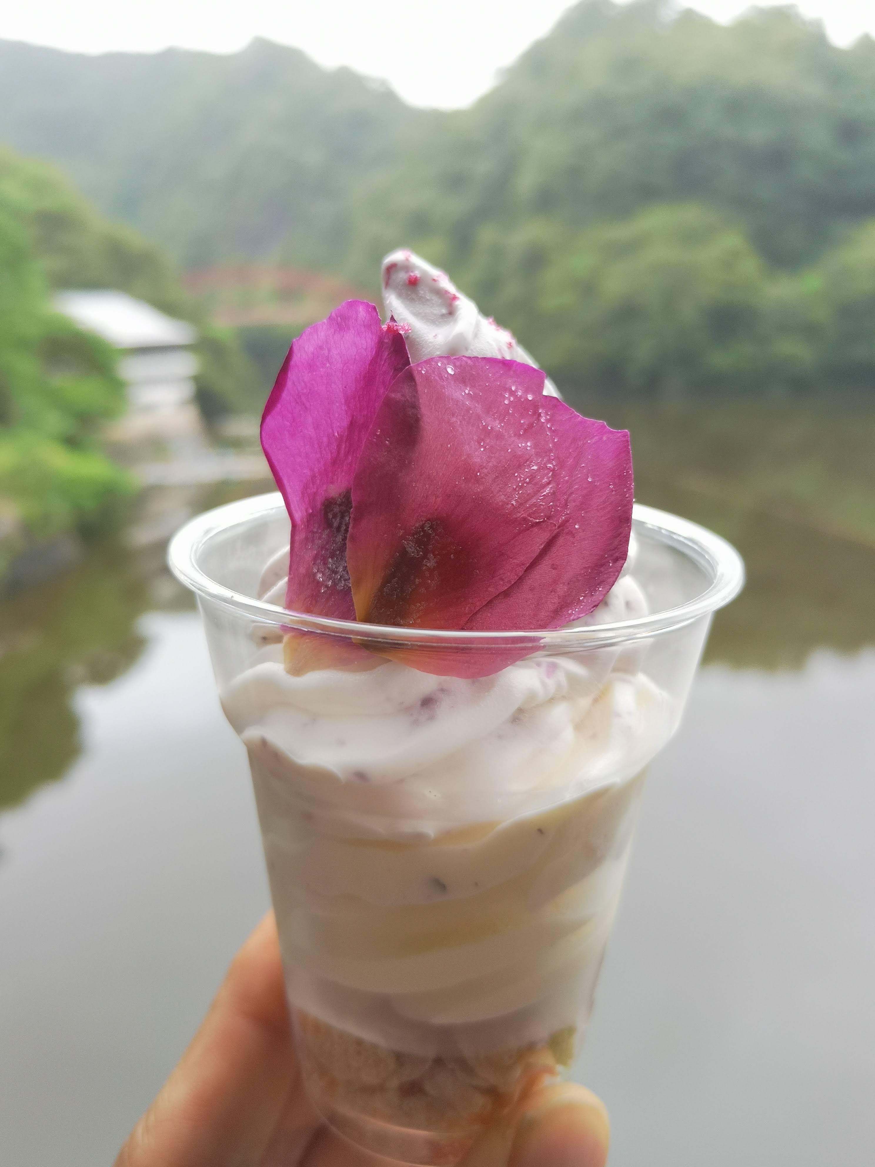 森に囲まれた光信寺でリトリート 密の無い癒し時間 広島県 神石高原町 広島県神石高原町観光協会 四仙人おでかけ日記 森に囲まれた光信寺でリトリート 密の無い癒し時間 広島県 神石高原町 広島県神石高原町観光協会 四仙人おでかけ日記