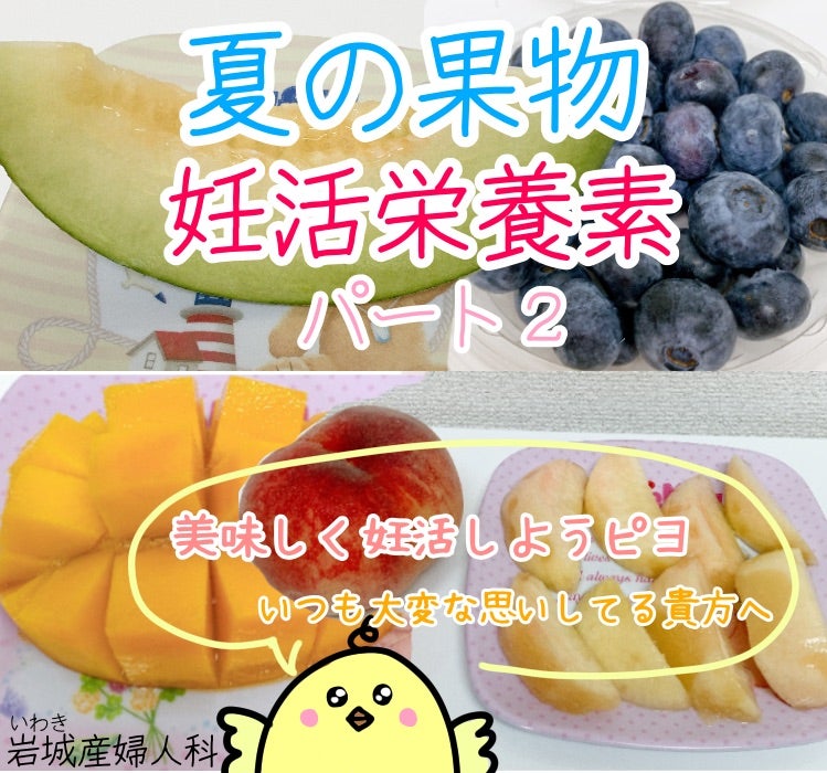 夏の果物と妊活栄養素 メロン 桃 マンゴー ブルーベリー 岩城産婦人科妊活ブログ 夏の果物と妊活栄養素 メロン 桃 マンゴー ブルーベリー 岩城産婦人科妊活ブログ