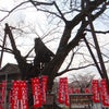 （61）　「非常事態宣言の前に！埼玉に行ってしまいました！」秩父市街地で！の画像