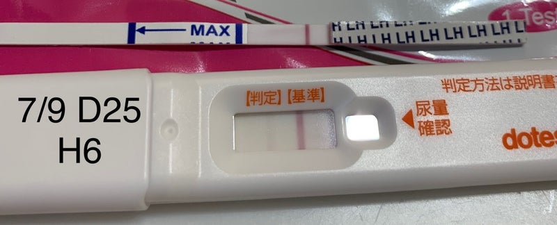 排卵検査薬で妊娠検査 こうのとり来てくれるかな 第2子妊活中