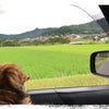 広島県北の滝をご紹介〜常清の滝〜の画像