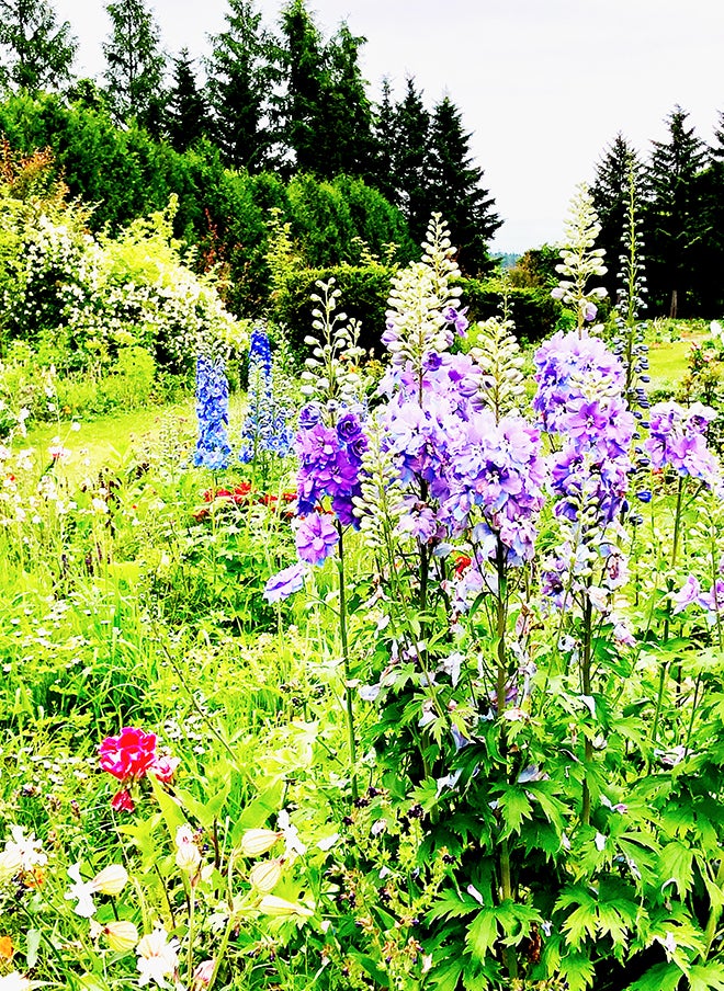 去年の夏は教室から北海道ガーデンツアーに行ってました 大阪 天王寺 阿倍野 Joy Flower フラワーアレンジメント教室