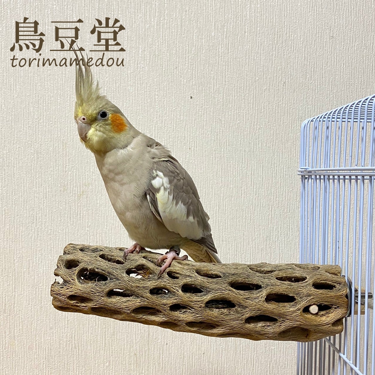 最新な 止まり木 カクタスパーチ ４６５用 - 鳥用品 - www 