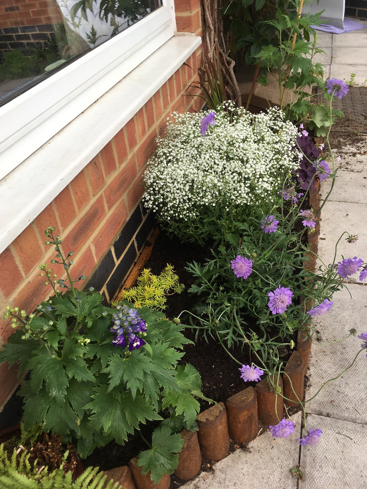 玄関横のミニ花壇が完成 | The U.K. Journal ~ チャレンジは 玄関横のミニ花壇が完成 | The U.K. Journal ~ チャレンジは