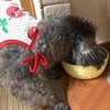 7／21  土用の丑の日、うなぎ食べる？の画像