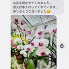きちんと伝えることは、良く生きることの記事より