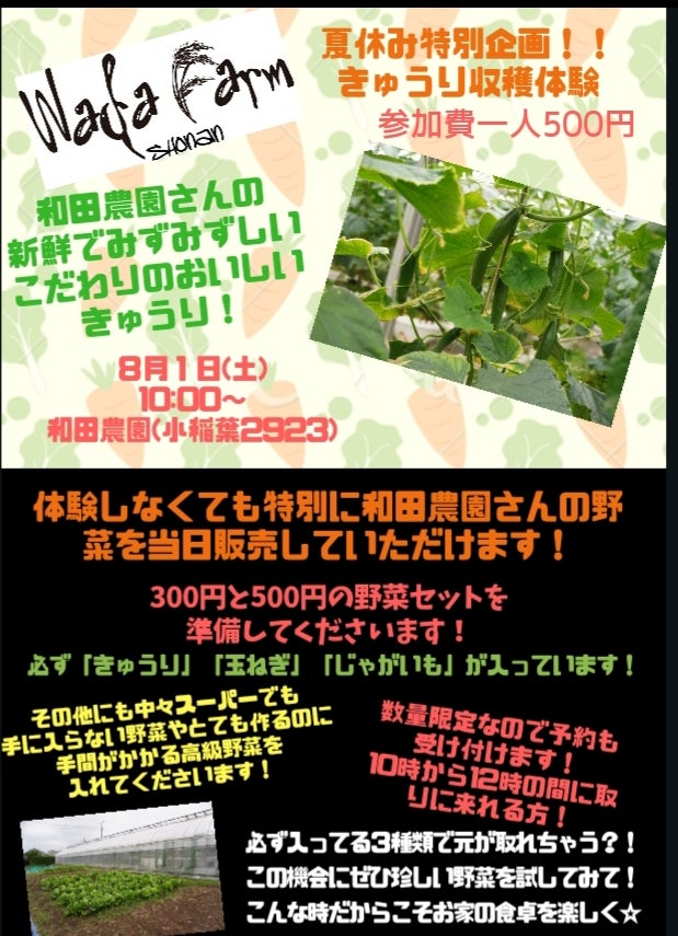 イベント案内&代表sakiちゃんYouTubeデビューの記事画像