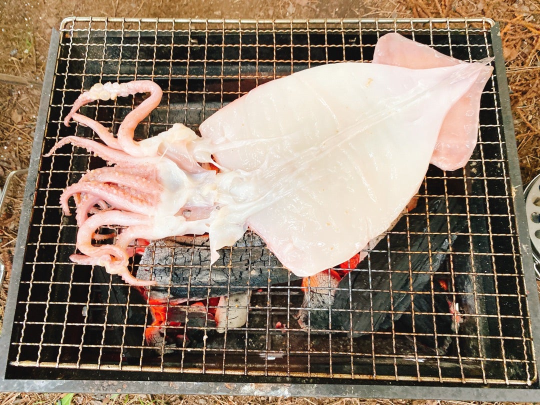 キャンプ飯 真イカの一夜干しとホルモン いつも笑顔でいれたらいいね キャンプ飯 真イカの一夜干しとホルモン いつも笑顔でいれたらいいね