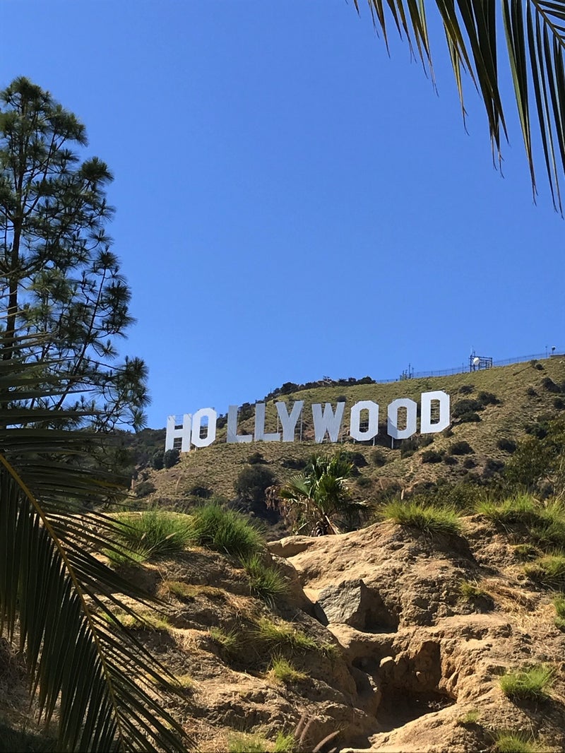 ハリウッドサインの裏側へ 働く駐妻 In La