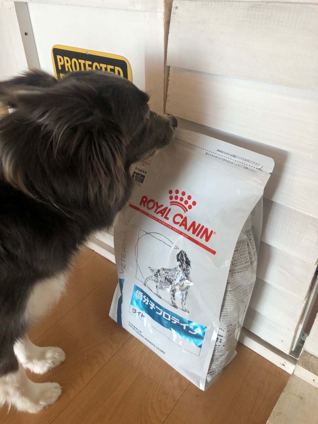 3袋セットロイヤルカナン 食事療法食 犬用 低分子プロテイン ライト ドライ 8kg
