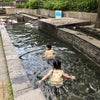 烏山川緑道のじゃぶじゃぶ池の画像