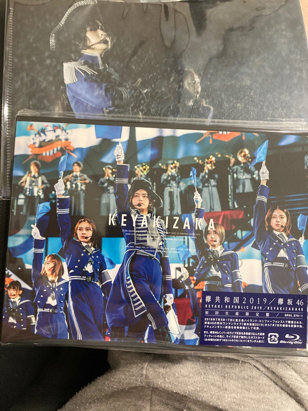 これを観にいって。。の記事画像