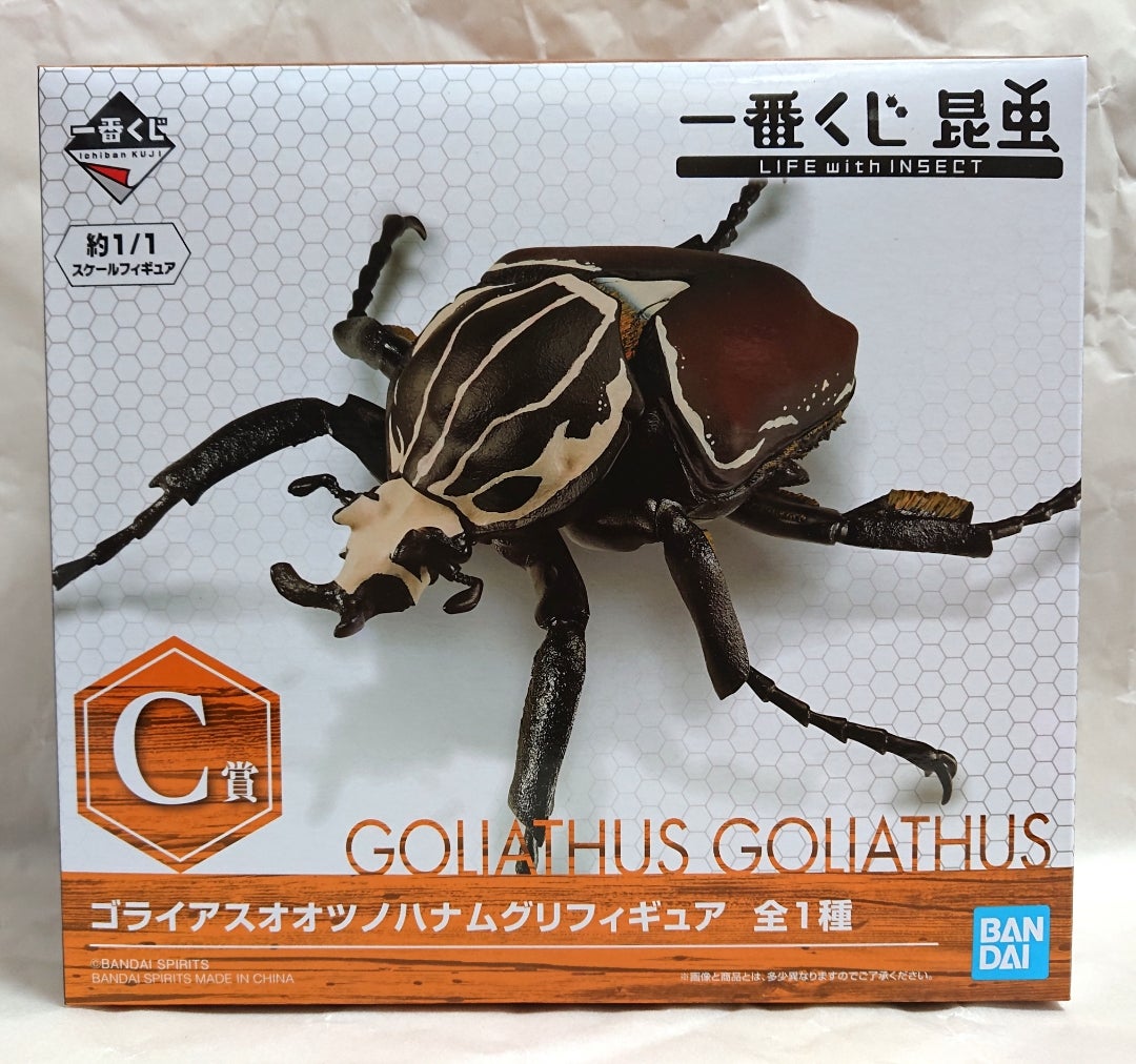 一番くじ 昆虫 LIFE with INSECT C賞 ゴライアスオオツノ 一番くじ 昆虫 LIFE with INSECT C賞 ゴライアスオオツノ