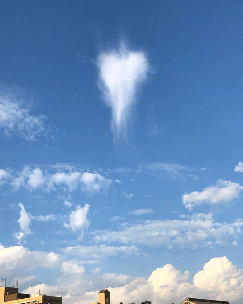 天使雲 | 毎日が休日(キュウ日)