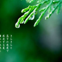 ブログ投稿画像