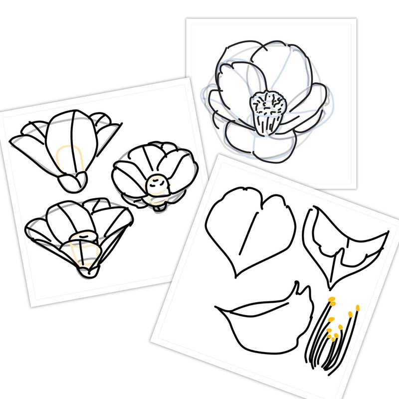 今日は女子大生の日 今日のイラストは花の描き方の練習 Hanamiの雑記ブログ 刺繍 刺繍イラストデザイン 旅行 お取り寄せのこと