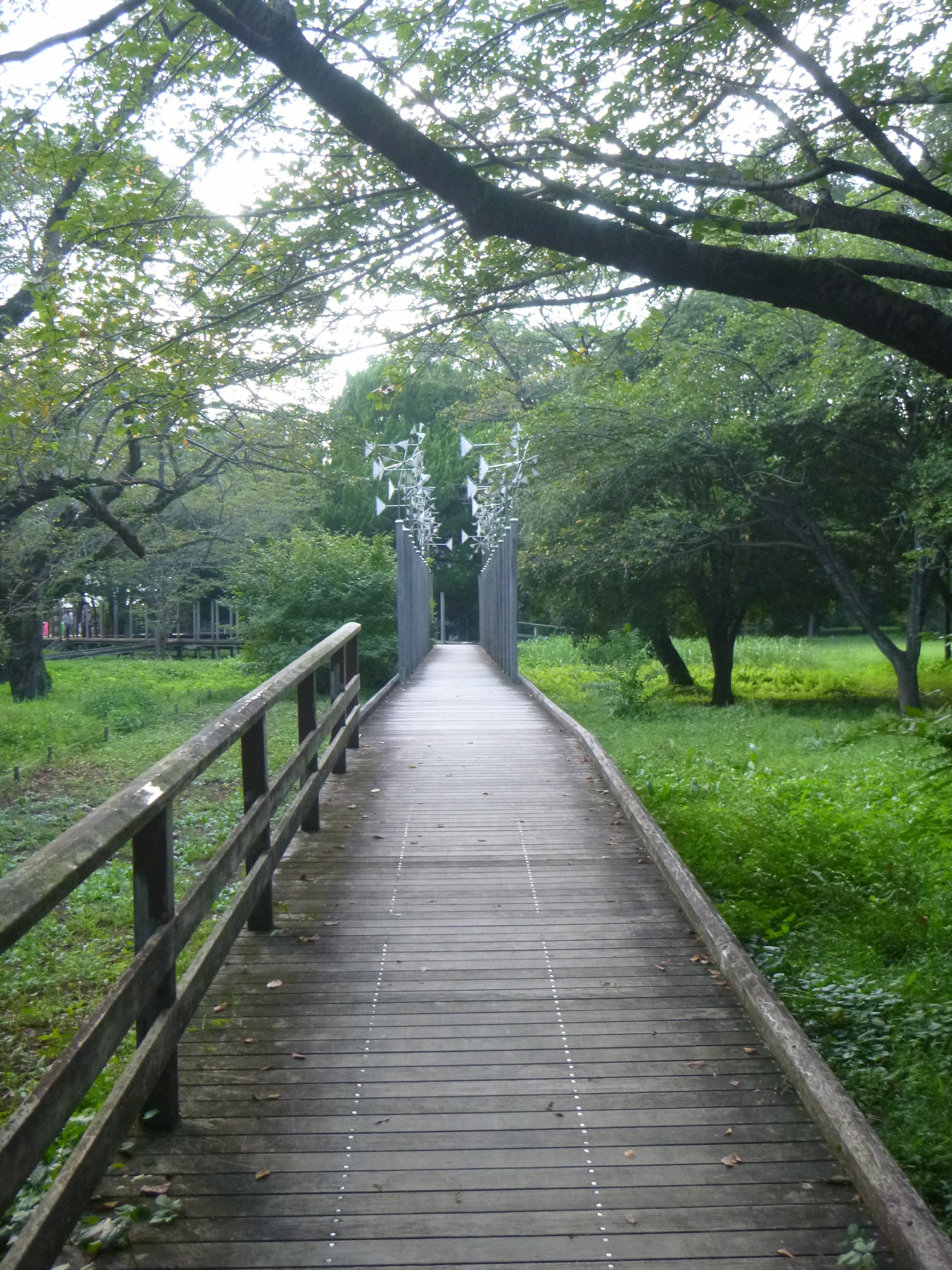 森 の 昭和 記念 公園 こども
